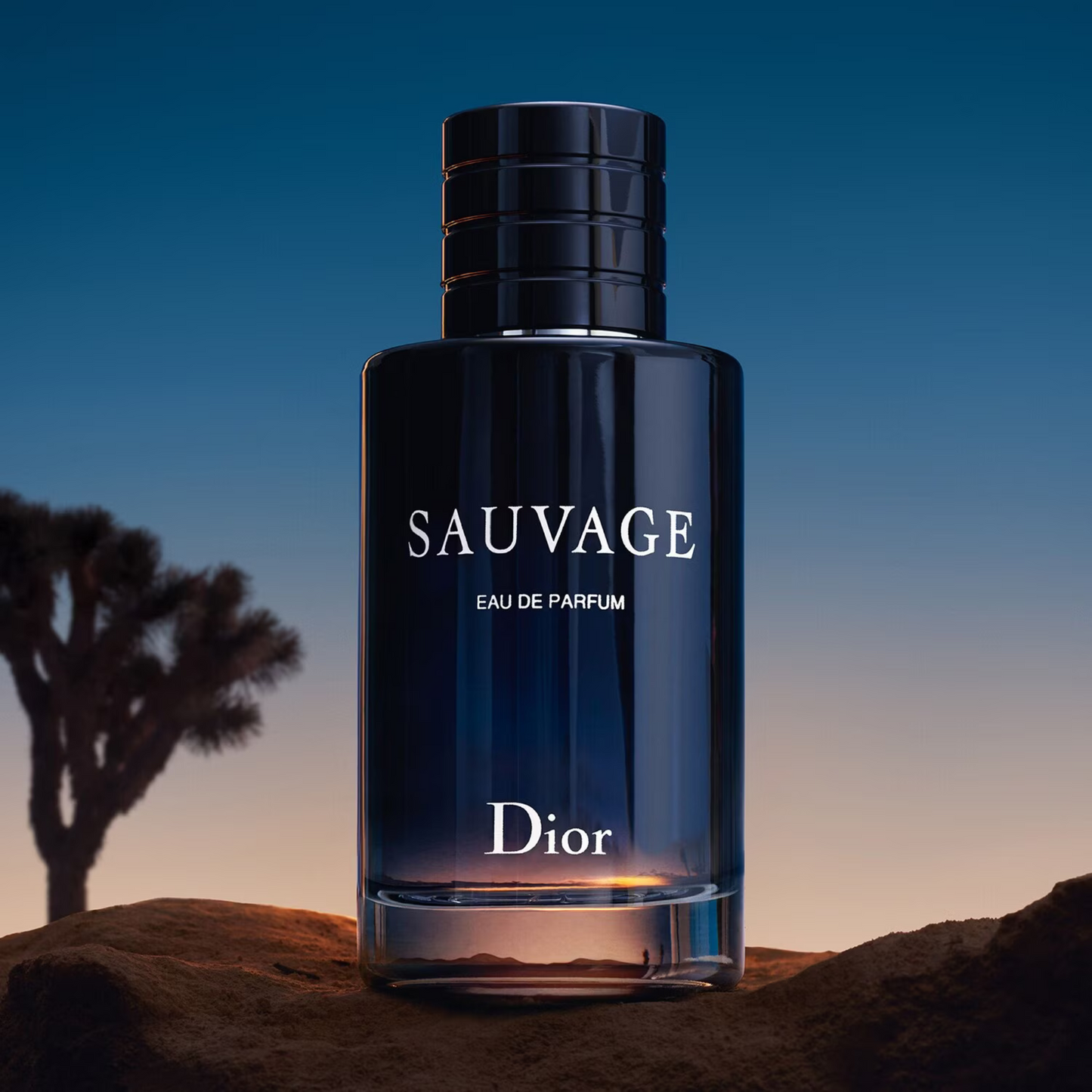 Sauvage - Eau de Parfum Dior